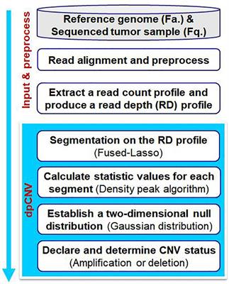 A Density Peak-Based Method to Detect Copy Number Variations From Next-Generation Sequencing Data